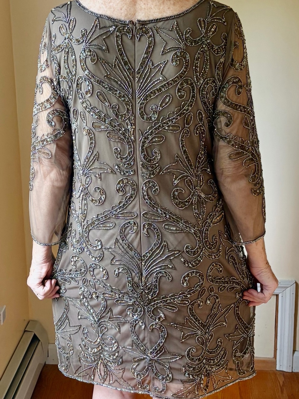 Adrianna Papell Mocha Beaded Sheer Overlay Evening Dress - Picture 4 of 12